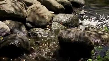 小溪流在清新的夏日中流过石头